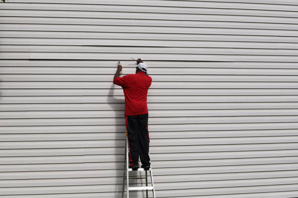 Best Brick Veneer Siding  in Ripley, MS