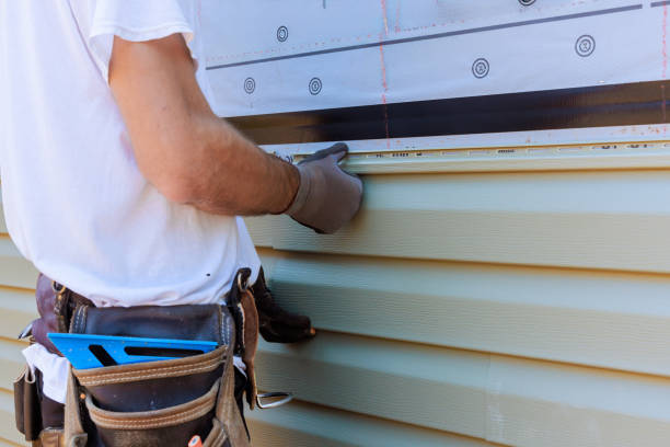 Best Vinyl Siding Installation  in Ripley, MS