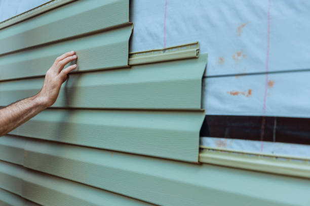 Best Composite Siding  in Ripley, MS