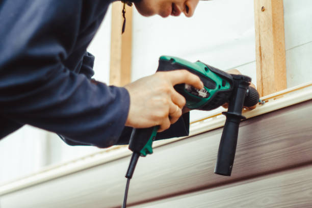 Best Vinyl Siding Installation  in Ripley, MS
